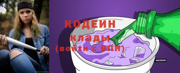 mdpv Бородино
