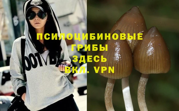 mdpv Бородино